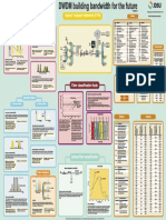 DWDM Impairments Optical Transport Networks (OTN) : Linear Effects