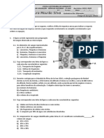 CN9 Teste Sistemas Cardiovascular Respiratório 2020