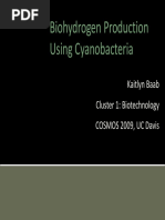 Biohydrogen Production Using Cyanobacteria: Kaitlyn Baab Cluster 1: Biotechnology COSMOS 2009, UC Davis