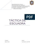 Tactica de Escuadra