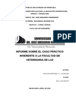 Informe Del Caso Práctico de SI CARLOS MARTÌNEZ DEF