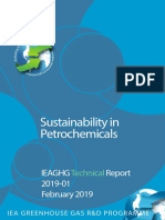 2019-01 Sustainability in Petrochemicals PDF