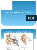 Nervio Vestíbulo Coclear