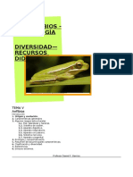 ANFIBIOS, Características, Diversidad y Evolución