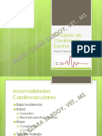 Principios de Cardiologia Equina Final Web