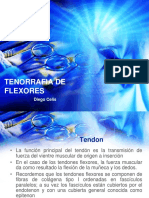 Tenorrafia de Flexores