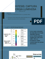 Fotosintesis-I