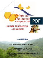 Taller Jardines y Mariposas Alas de Colombia PDF