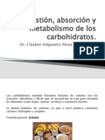 Digestión, Absorción y Metabolismo de Los Carbohidratos