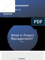 Project Management: BAM18A5264A / B