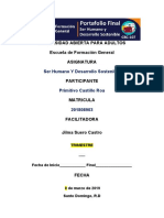 Portafolio D