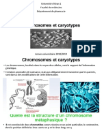 64td, Chromosomes Et Caryotypes PDF