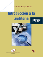 Introduccion A La Auditoria