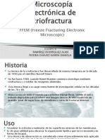 Criofractura 1302.2