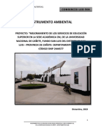 Instrumento Ambiental-Cañete-04-12-19