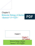 9 week:: Molecular Biology of Bacteria (의 분자생물학)