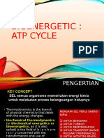 Bioenergetic: Atp Cycle