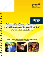 Contribuição Indígena e Africana Na Formação Do Povo Brasileiro