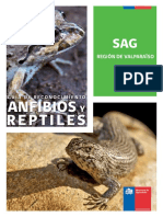 Guia Anfibios y Reptiles, V Region