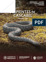 Serpientes de Cascabel