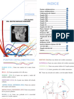 Manual de Steiner Final