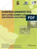 Saberes Ambientais: Reflexões Sobre A Relação Sociedade-Natureza