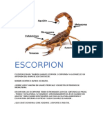 ESCORPION