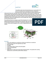 Leaf Epidermal Peel - LabPreparation PDF