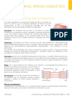 Cap. 06 Contracción Del Músculo Esquelético