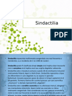 Sindactilia