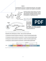 Lac Operon PDF