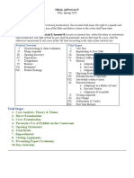 MGM Trial Advocacy Outline