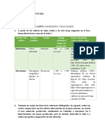 Fase 3 - Yesika Hincapie