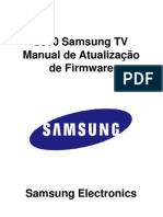 2010 Brasil Firmware For SX1 e X4