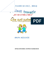 Proiect Tematic Eu Si Lumea Mea Magica PDF