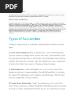 Types, Causes and Effects of Avalanche