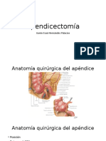 Apendicectomía Técnica