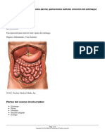 Gastrectomía /PROCEDIMIENTO