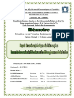 Biogazz PDF