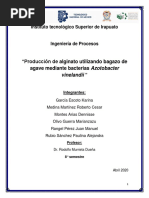 Ingeniería de Procesos PDF