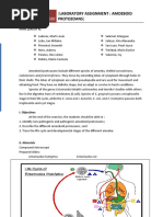 March 23, 2020: Laboratory Assignment: Amoeboid Protozoans