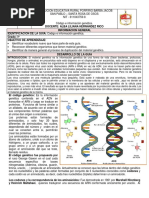 Guía Código e Información Genética PDF