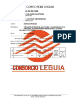 Informe 26 Consorcio Leguia