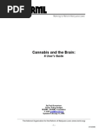 NORML Cannabis and The Brain