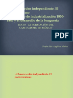 El Nuevo Orden Independiente. El Proteccionismo