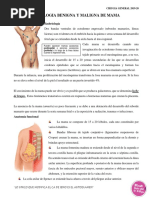 Patologia Benigna y Maligna de Mama