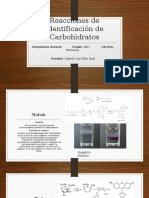 2451-Reacciones de Identificación de Carbohidratos-Cañedo Leal