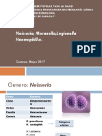 Neisseria PDF