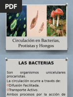 2 Circulacion en Bacterias Protistas y Hongos