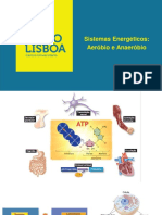 Sistemas Energéticos - Anaeróbio e Aeróbio PDF